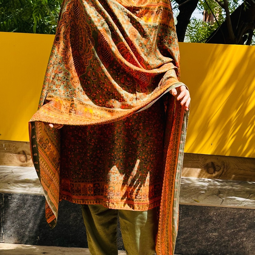Designer stitched Kashmiri suit with stunning dupatta,size L,its new like - Picture 7 of 9